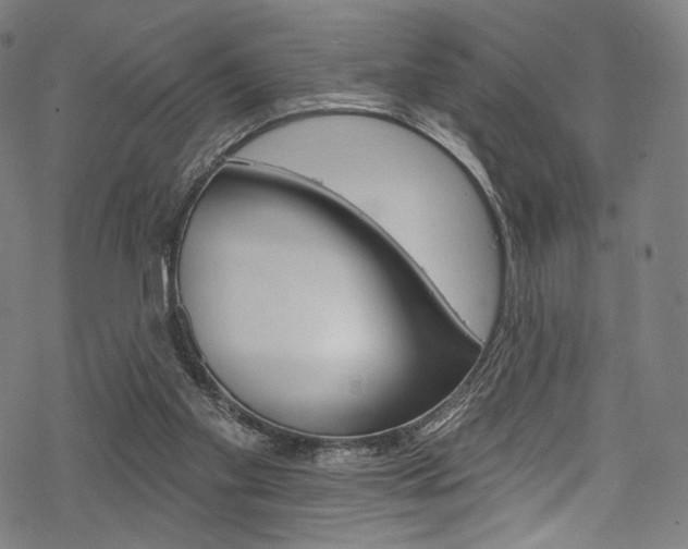 X0000068840109200605050953