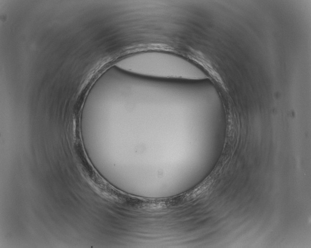 X0000068840110200605050953