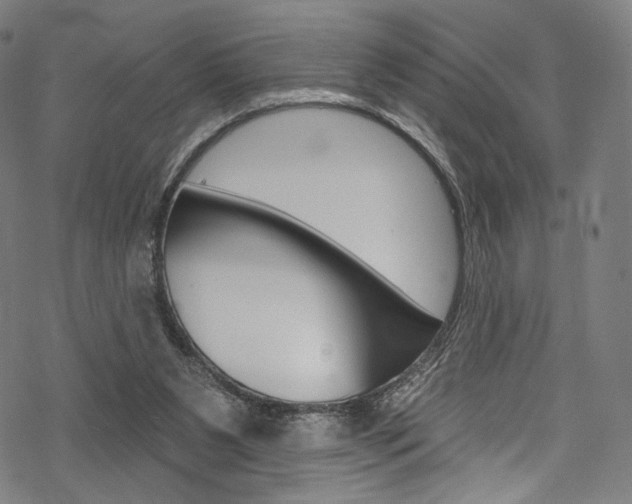 X0000068840111200605050953