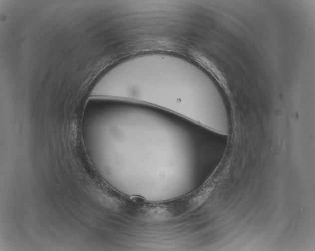 X0000068840113200605050953