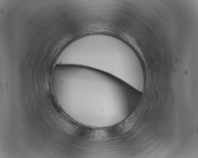 X0000068840114200605050953