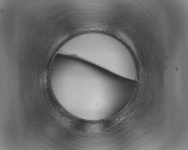 X0000068840115200605050953