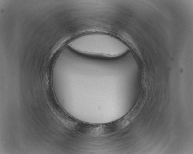 X0000068840116200605050953