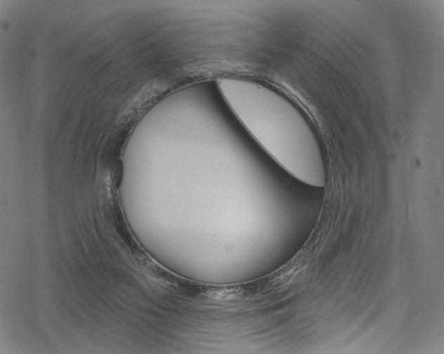 X0000068840117200605050953