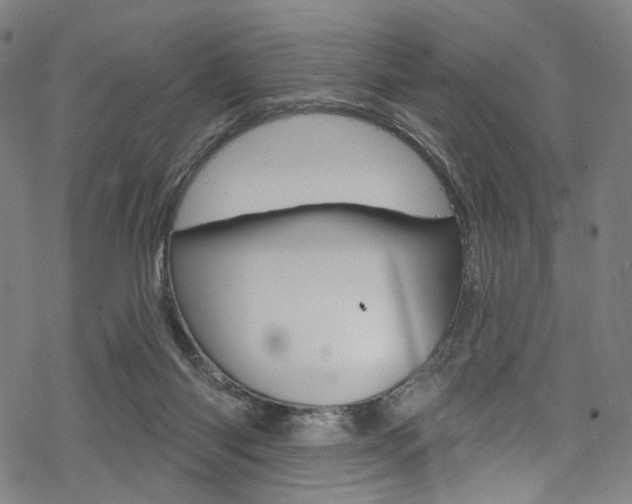 X0000068840118200605050953