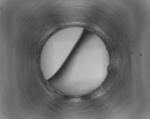 X0000068840119200605050953