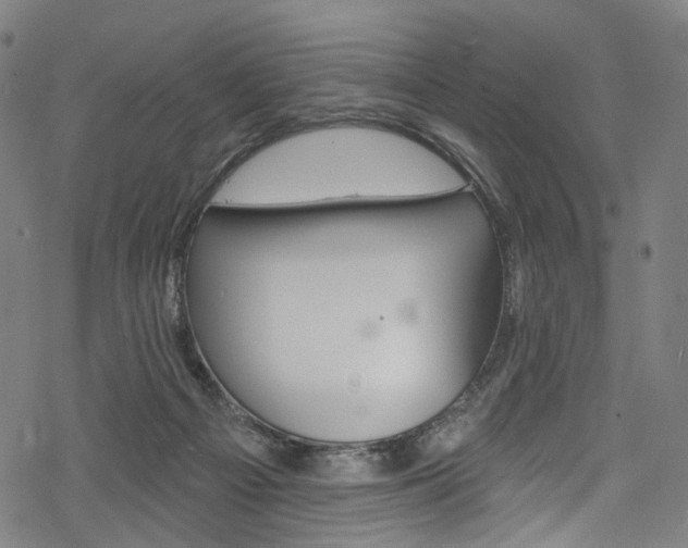 X0000068840121200605050953