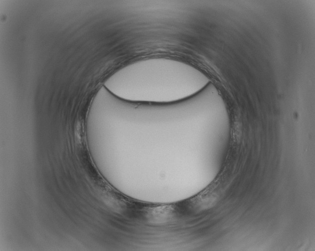 X0000068840122200605050953