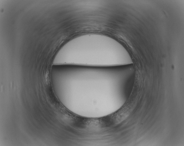 X0000068840123200605050953