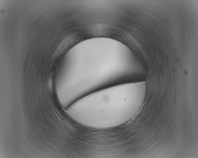 X0000068840124200605050953