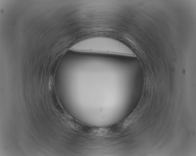 X0000068840125200605050953