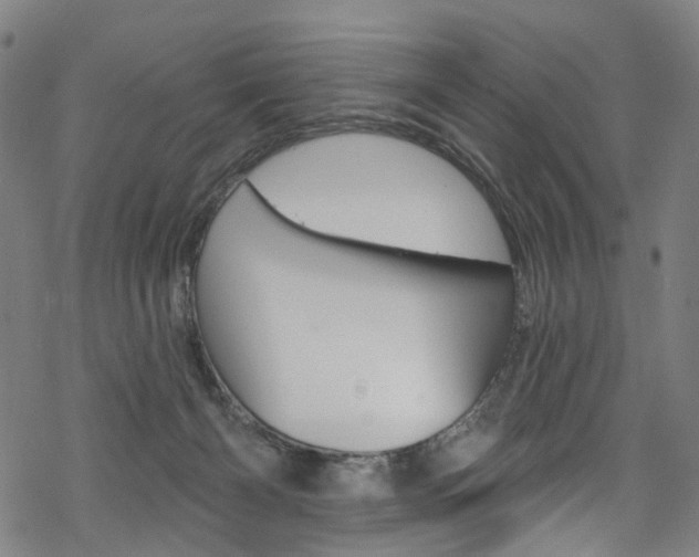 X0000068840126200605050953