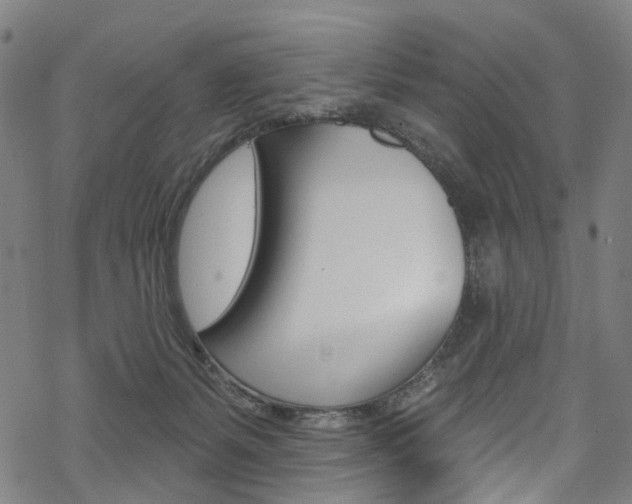 X0000068840127200605050953