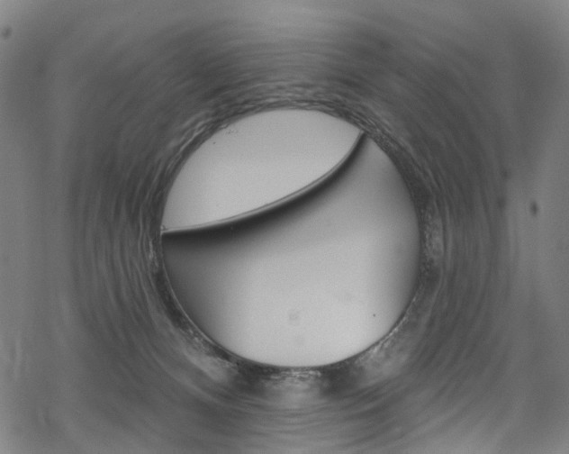 X0000068840128200605050953