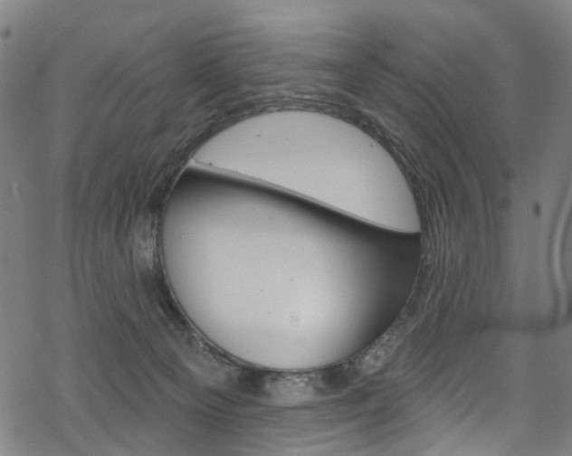 X0000068840129200605050953