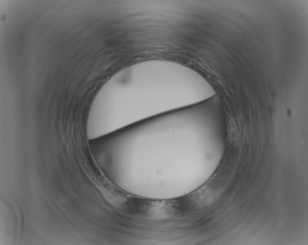 X0000068840130200605050953