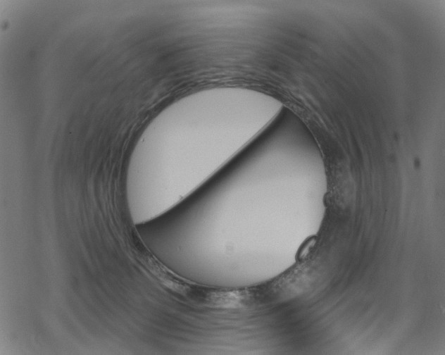 X0000068840131200605050953