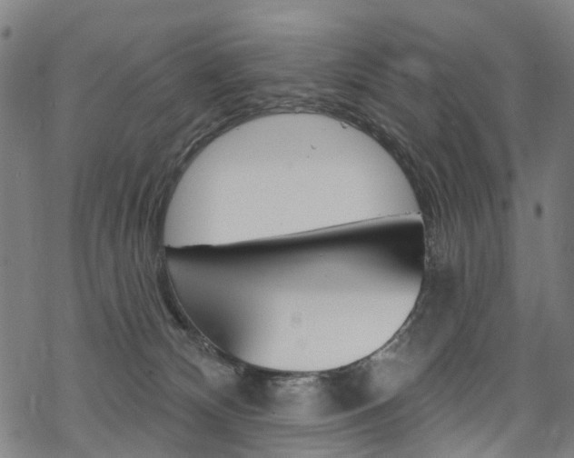 X0000068840132200605050953