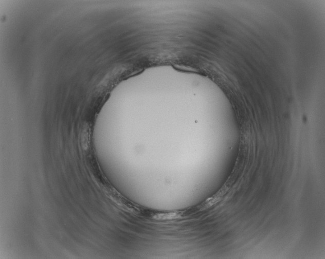 X0000068840133200605050953