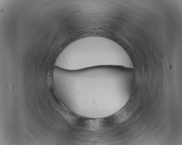 X0000068840134200605050953