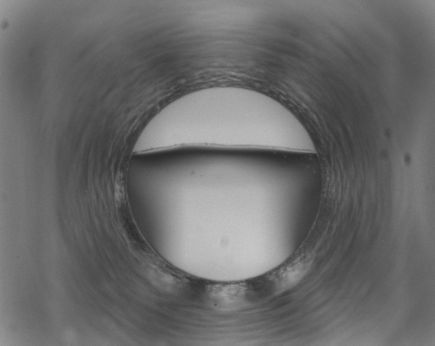 X0000068840135200605050953