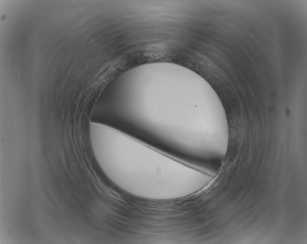 X0000068840136200605050953