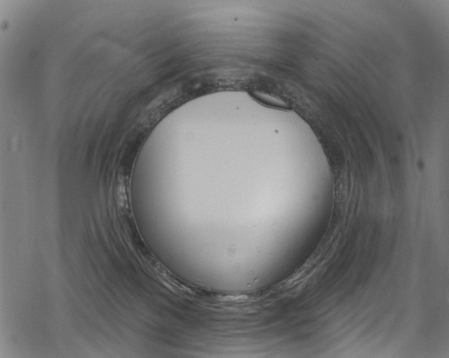 X0000068840137200605050953