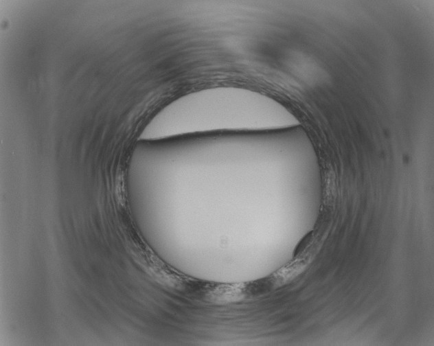 X0000068840138200605050953