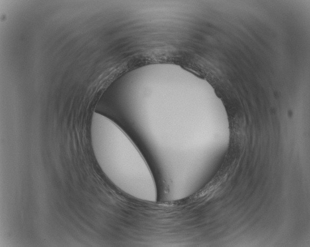 X0000068840139200605050953