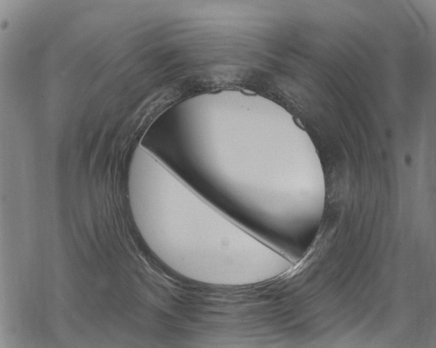 X0000068840140200605050953