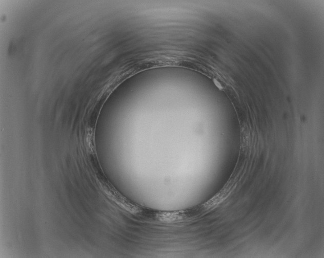 X0000068840141200605050953