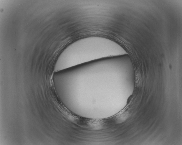 X0000068840142200605050953