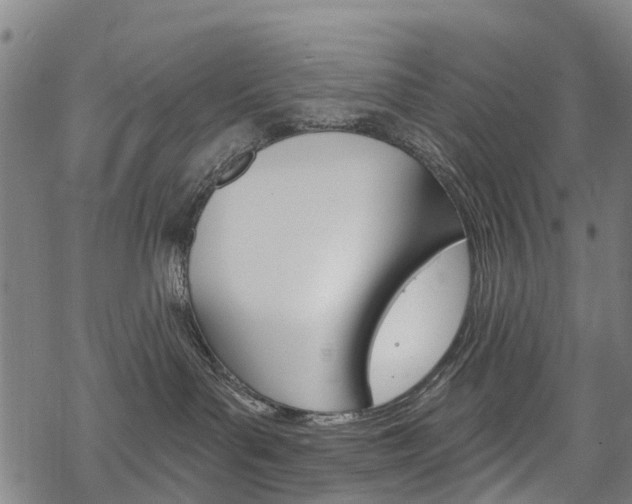 X0000068840143200605050953