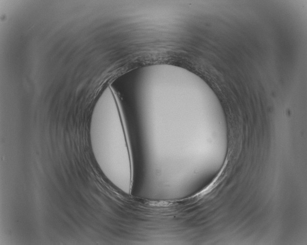 X0000068840144200605050953