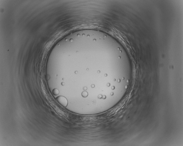 X0000068840145200605050952