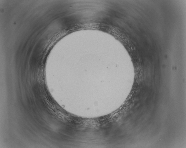 X0000068840146200605050952