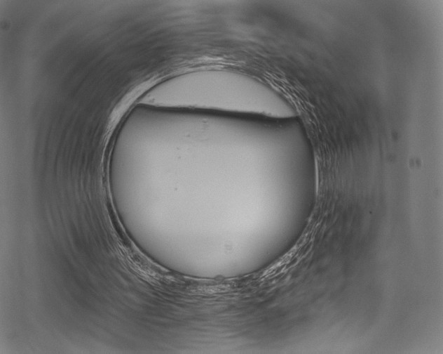 X0000068840147200605050952