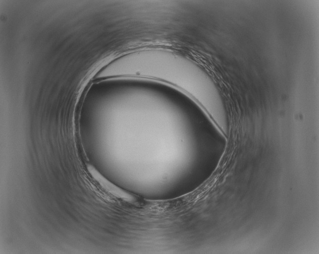 X0000068840148200605050952