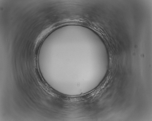 X0000068840149200605050952