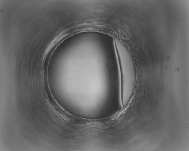 X0000068840150200605050952