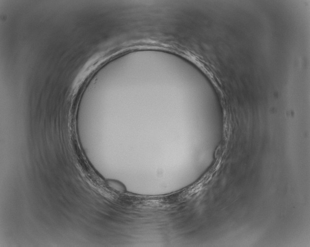 X0000068840151200605050952