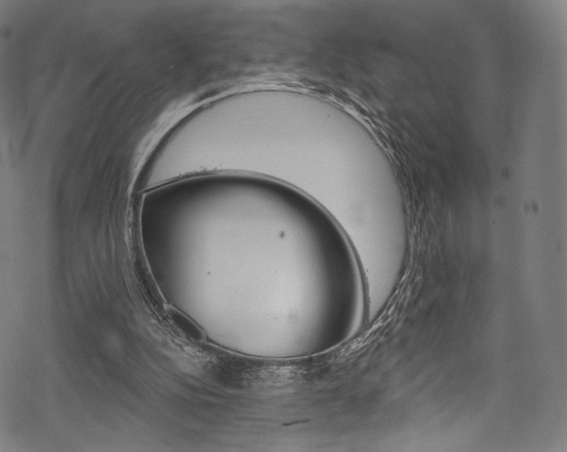 X0000068840152200605050952