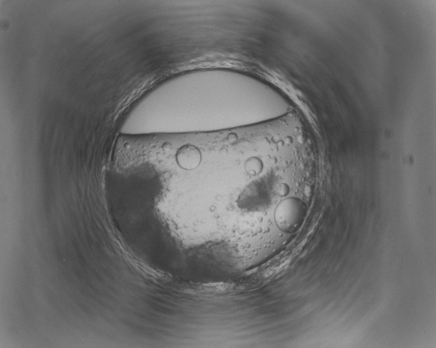 X0000068840153200605050952