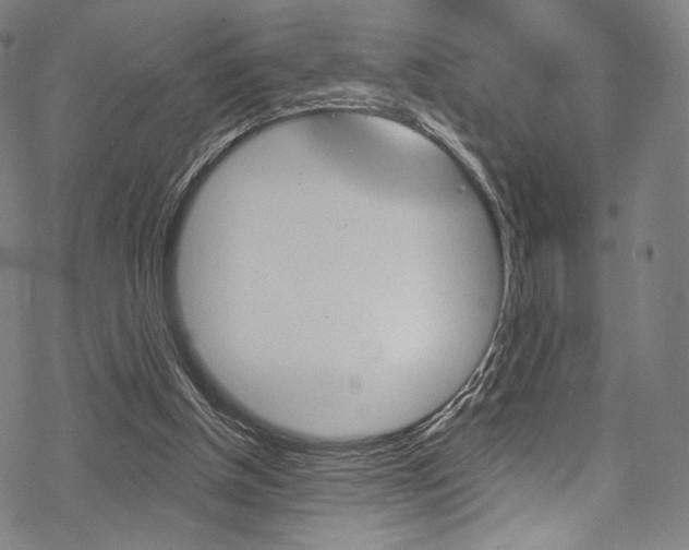 X0000068840154200605050952