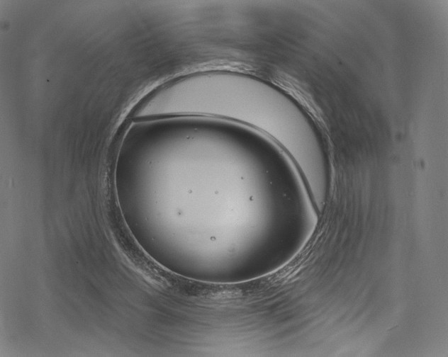 X0000068840156200605050952