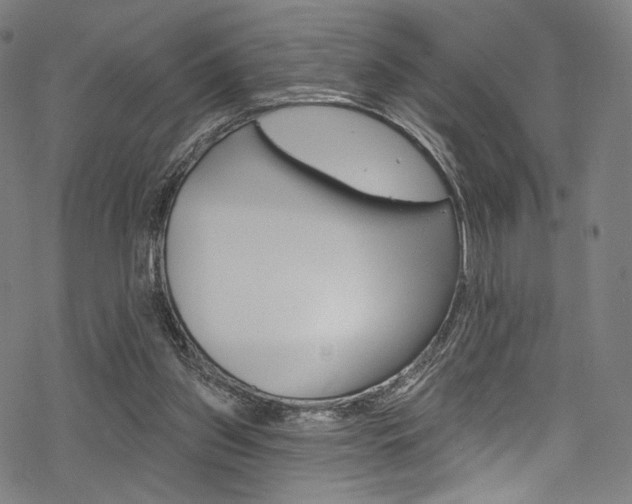 X0000068840157200605050952