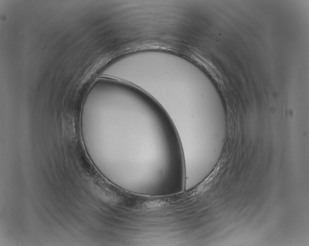 X0000068840158200605050952