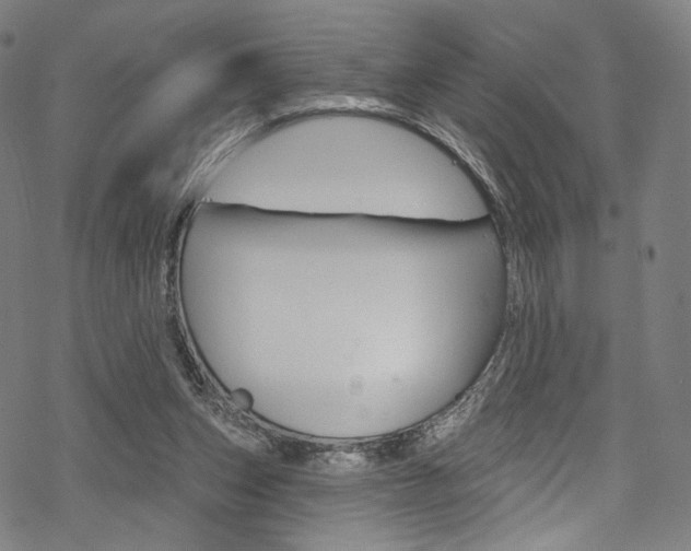 X0000068840159200605050952