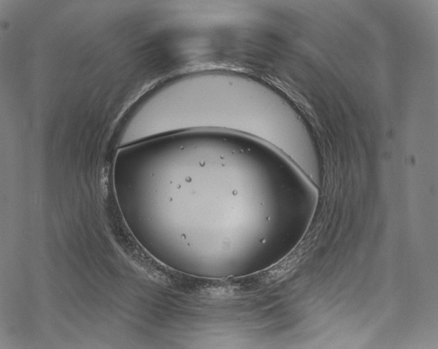 X0000068840160200605050952