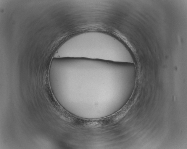 X0000068840161200605050952